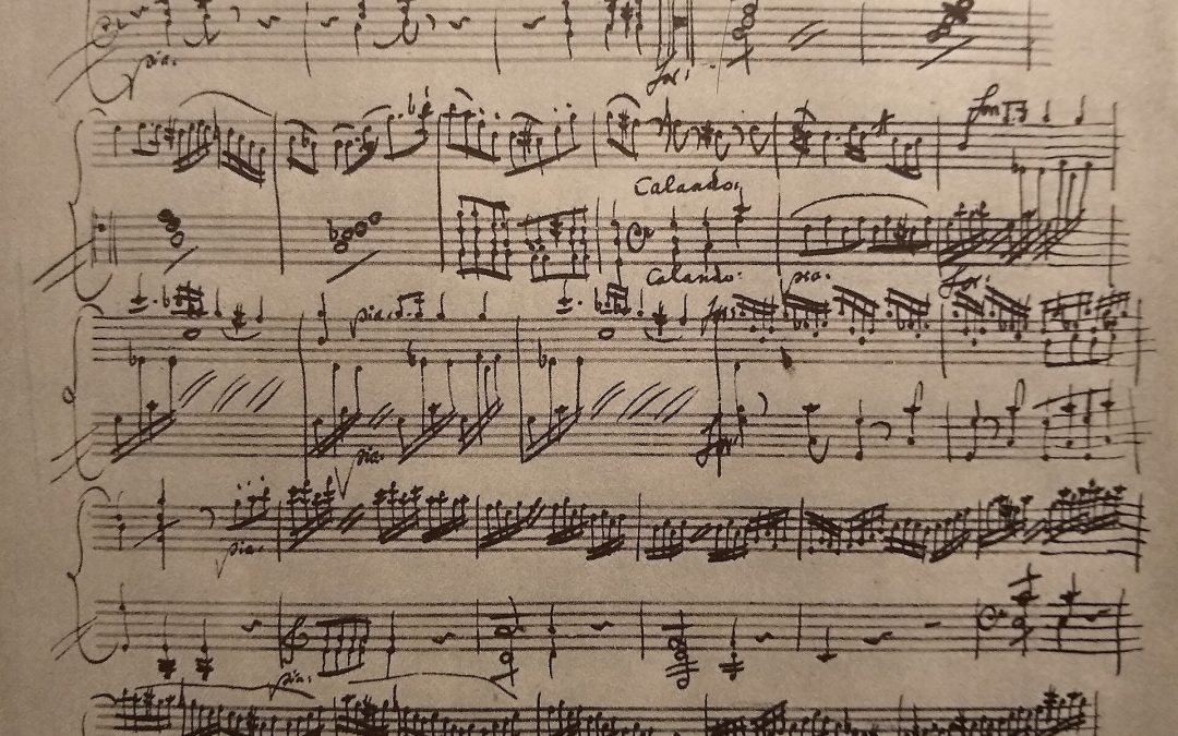 La cadenza era il momento in cui il solista smetteva di obbedire